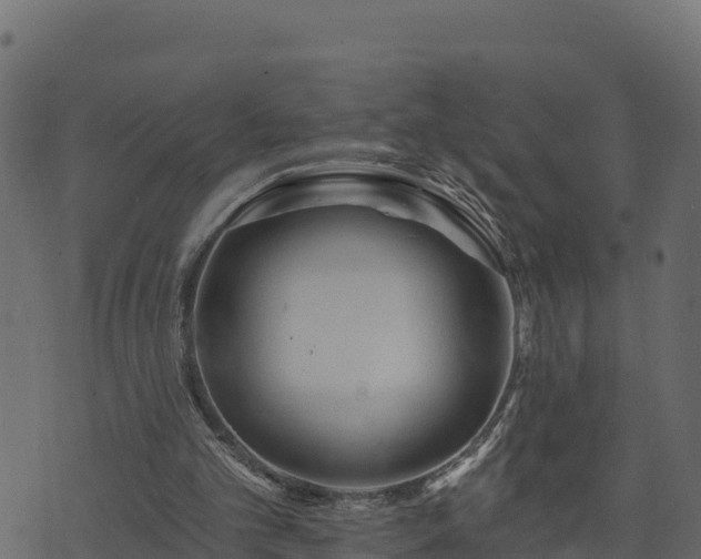 X0000073930101200608181124