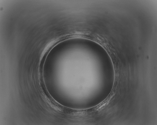 X0000073930102200608181124