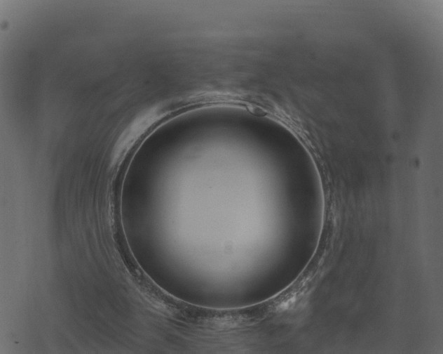 X0000073930103200608181124