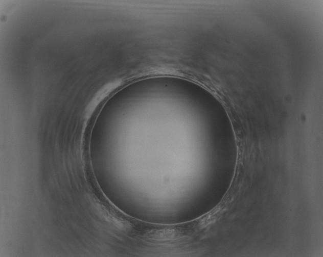 X0000073930104200608181124