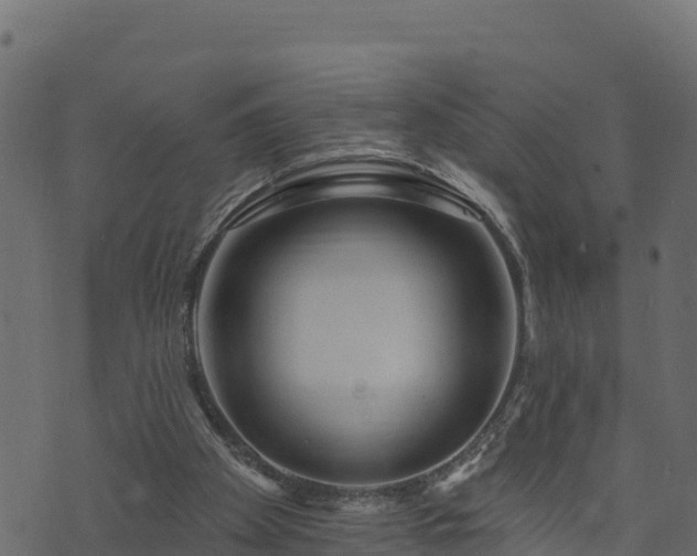 X0000073930105200608181124