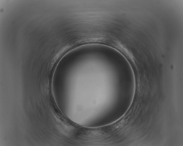 X0000073930107200608181124