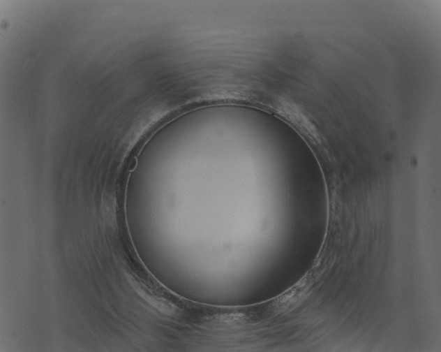 X0000073930108200608181124