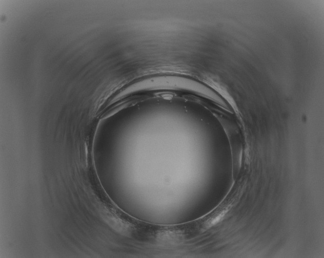 X0000073930109200608181124