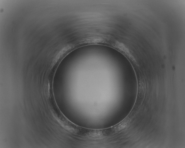 X0000073930110200608181124