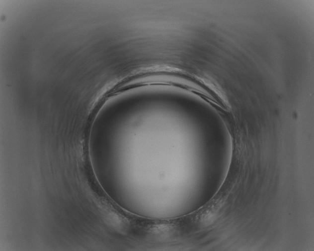 X0000073930111200608181124