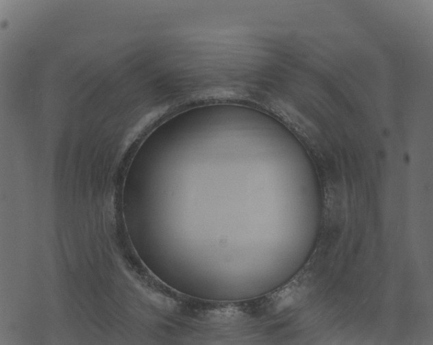 X0000073930112200608181124