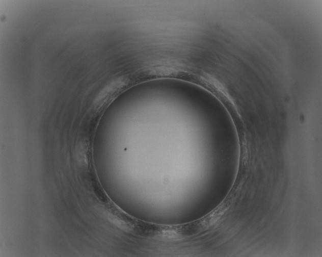 X0000073930114200608181124