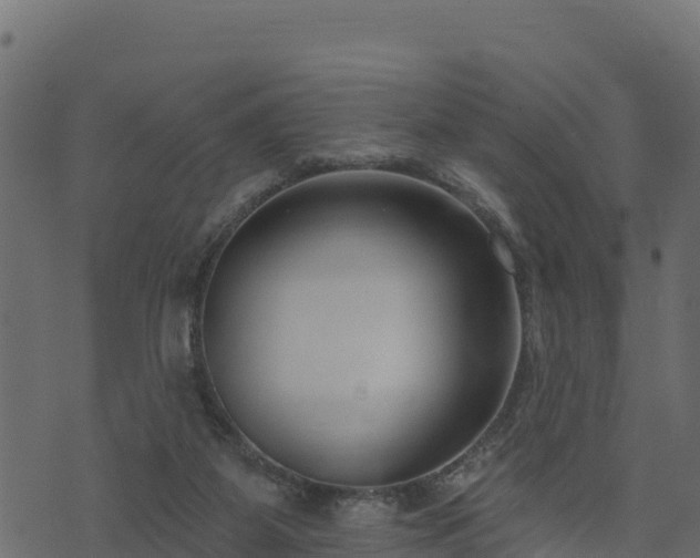 X0000073930115200608181124