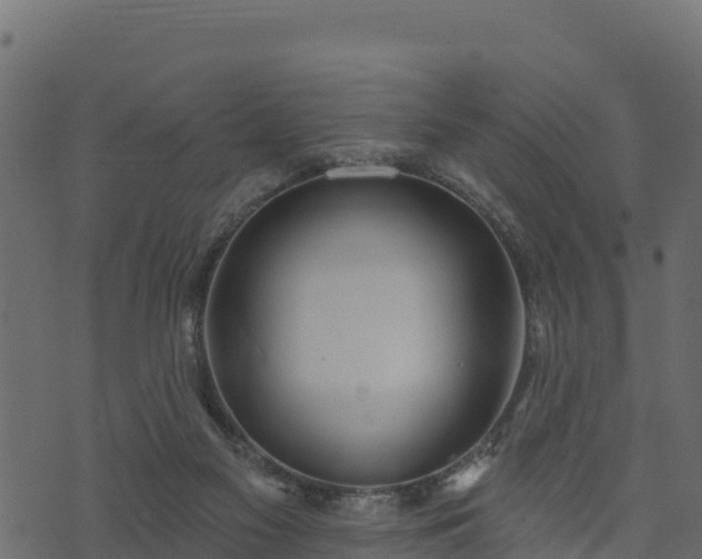 X0000073930117200608181124