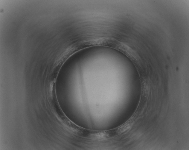 X0000073930118200608181124