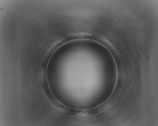 X0000073930119200608181124