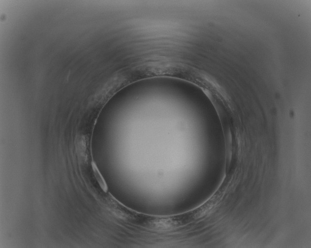 X0000073930121200608181124