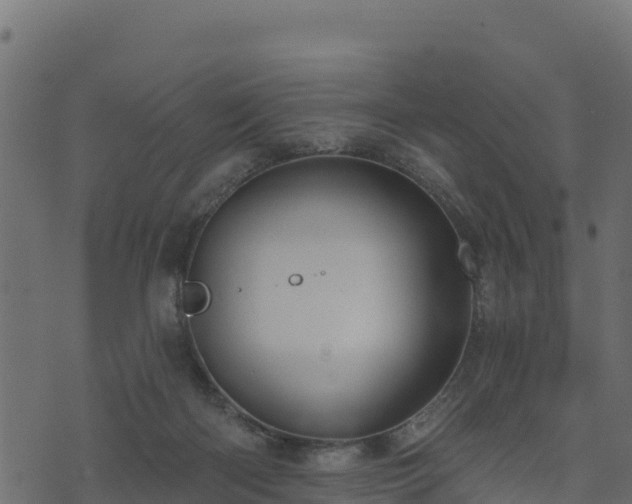 X0000073930122200608181124