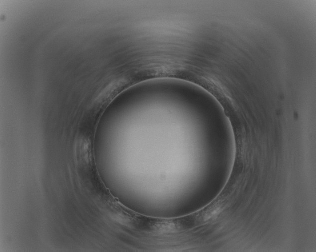 X0000073930123200608181124