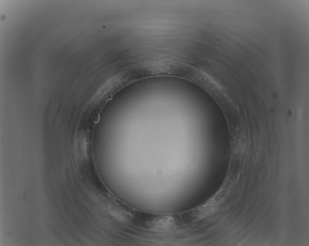 X0000073930124200608181124