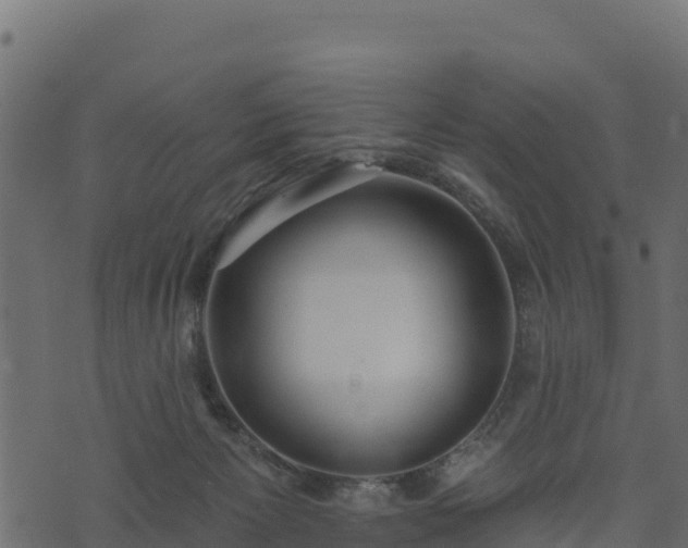 X0000073930125200608181124