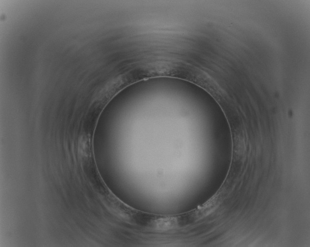 X0000073930126200608181124