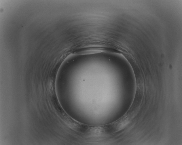 X0000073930127200608181124