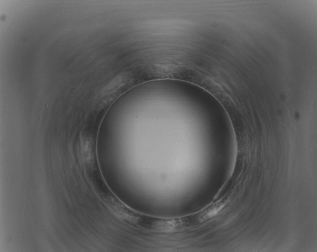 X0000073930131200608181124