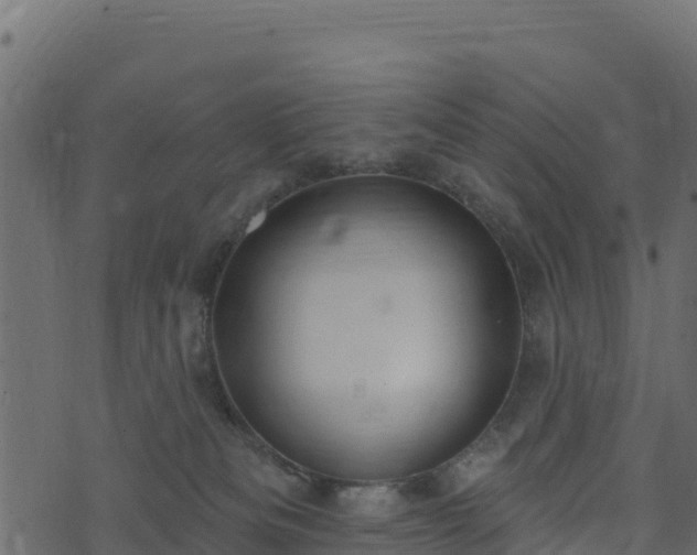 X0000073930133200608181124