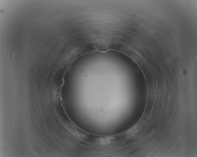 X0000073930134200608181124