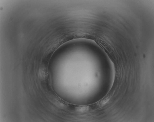 X0000073930135200608181124