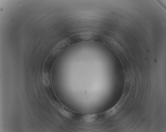 X0000073930136200608181124