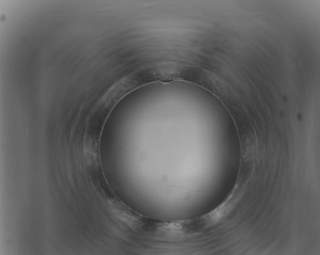 X0000073930140200608181124