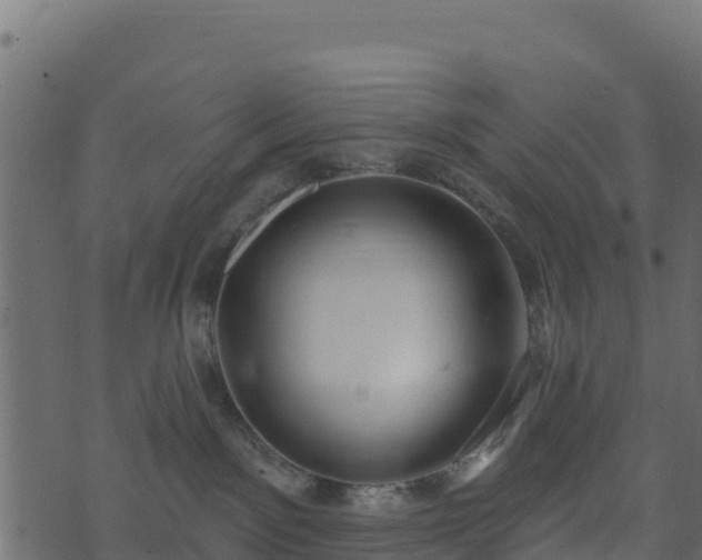 X0000073930141200608181124