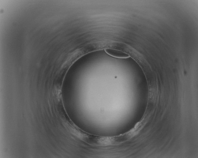 X0000073930142200608181124