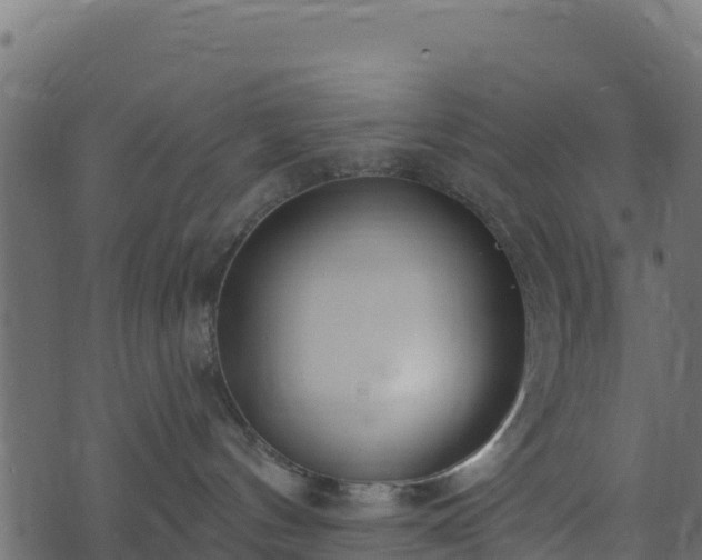 X0000073930144200608181124