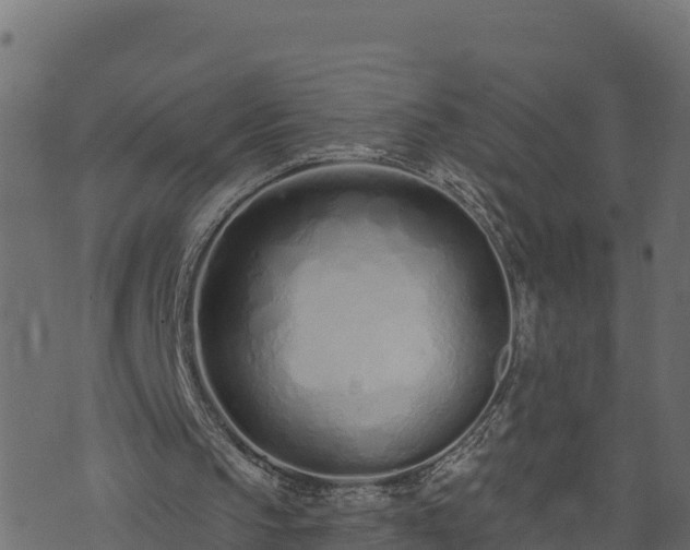 X0000073930145200608181123