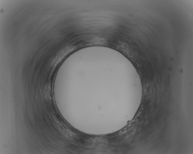 X0000073930146200608181123