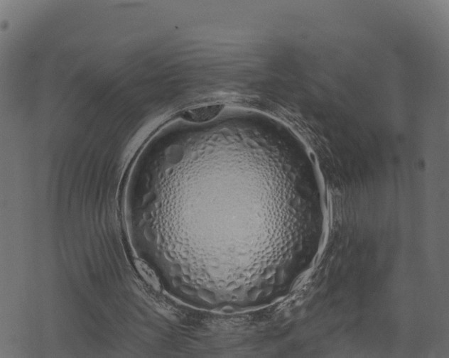 X0000073930147200608181123