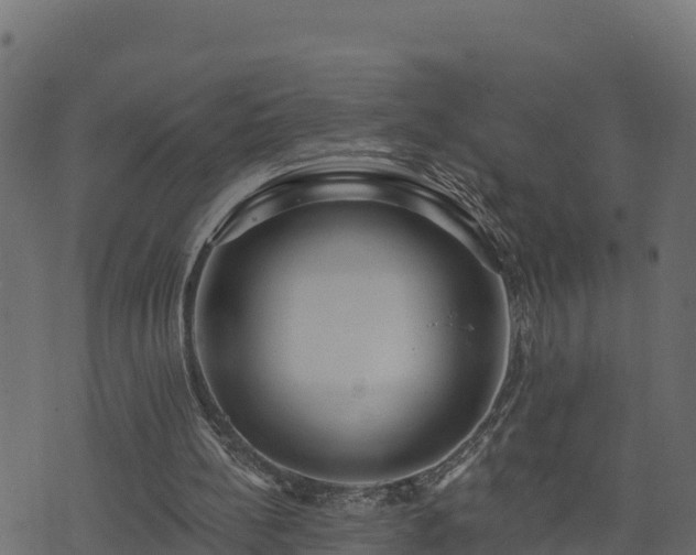 X0000073930148200608181123