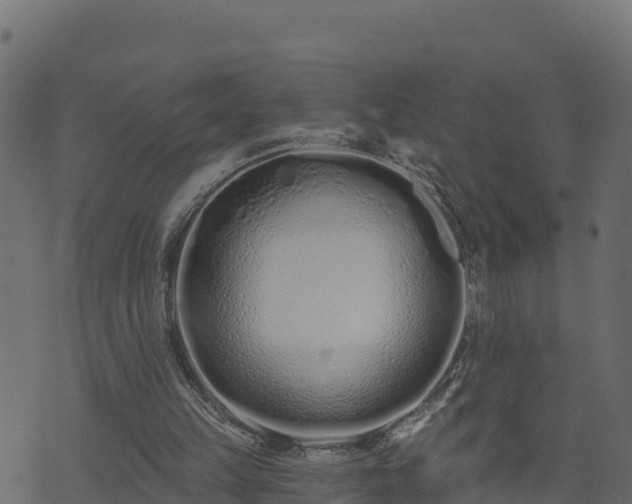 X0000073930149200608181123