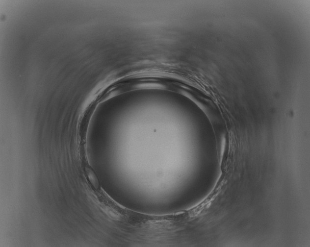 X0000073930150200608181123