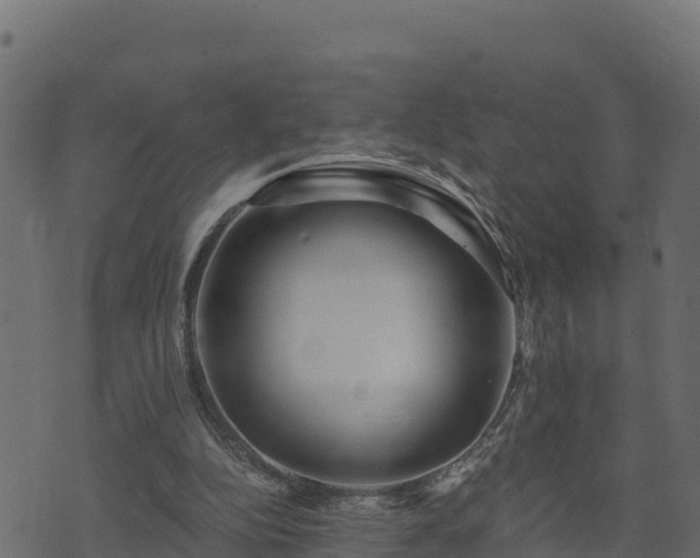 X0000073930152200608181123