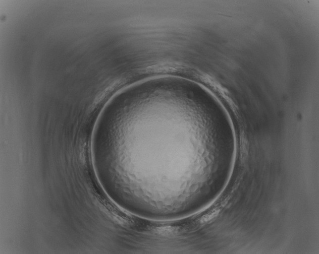 X0000073930153200608181123