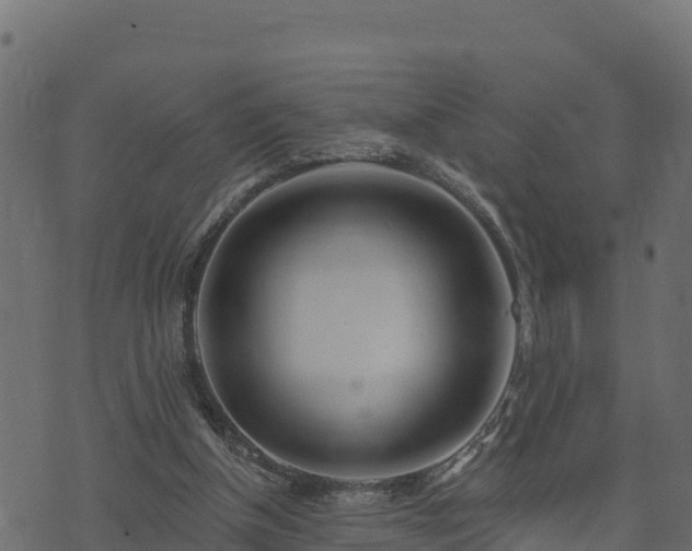 X0000073930154200608181123