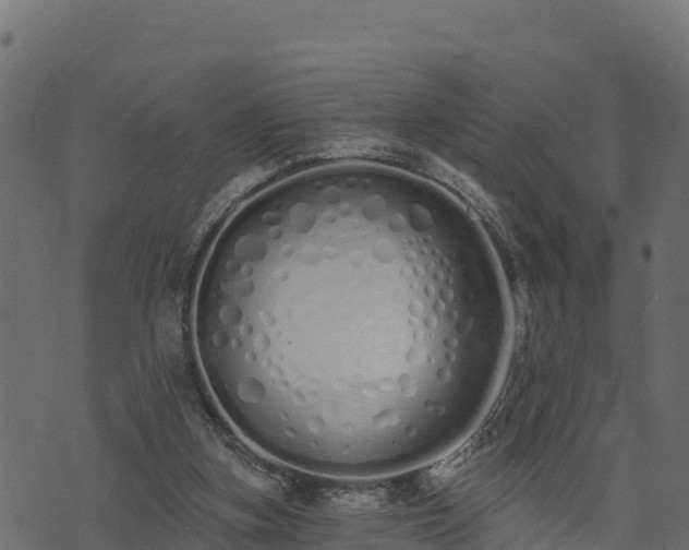 X0000073930155200608181123