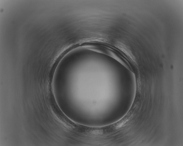 X0000073930156200608181123