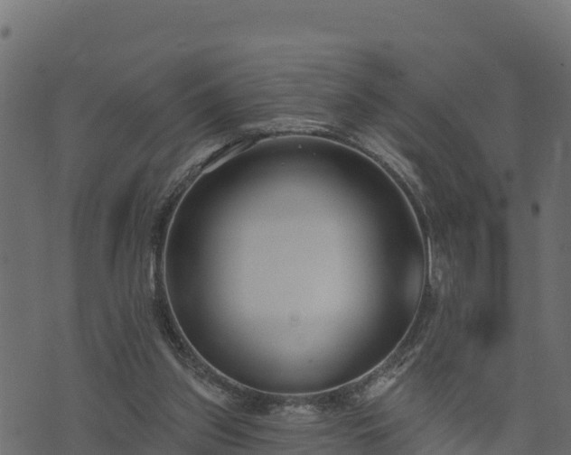 X0000073930157200608181123