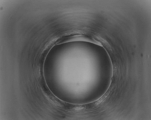 X0000073930158200608181123