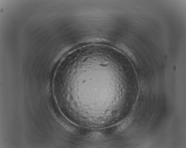 X0000073930159200608181123