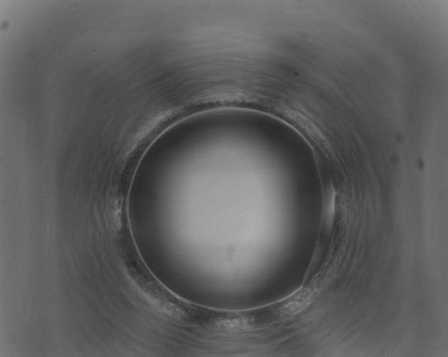 X0000073930160200608181123