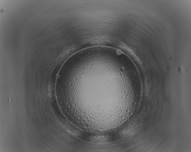 X0000073930161200608181123