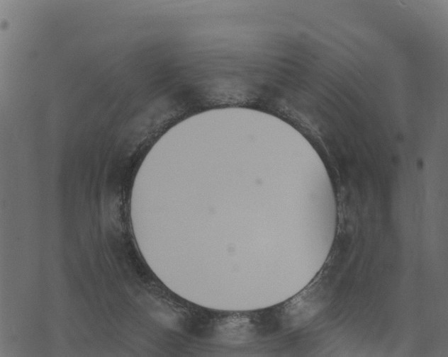 X0000073930162200608181123