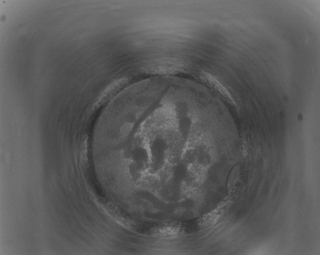 X0000073930163200608181123